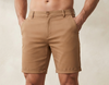 classic chino short brown