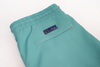 solid turquois swim shorts